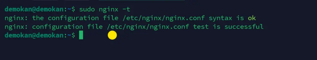 Nginx -t