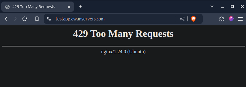 Website Error Too Many Request