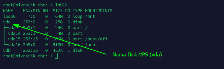 Periksa Nama Disk VPS