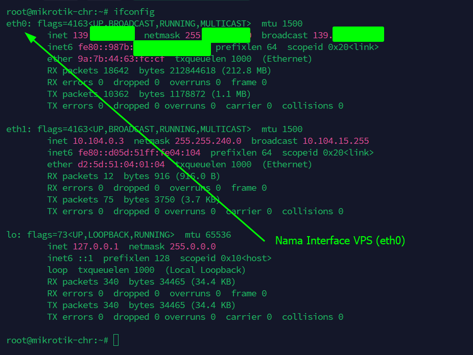 Periksa Nama Interface VPS